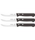 Cuchillo Verduras 10 Cm Con Sierra - M.Negro Remache, Estuche 3 Uds