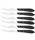 Juego 6 Uds. - Cuchillo STILETTO 10,5 cm - Mango Phenolkraft